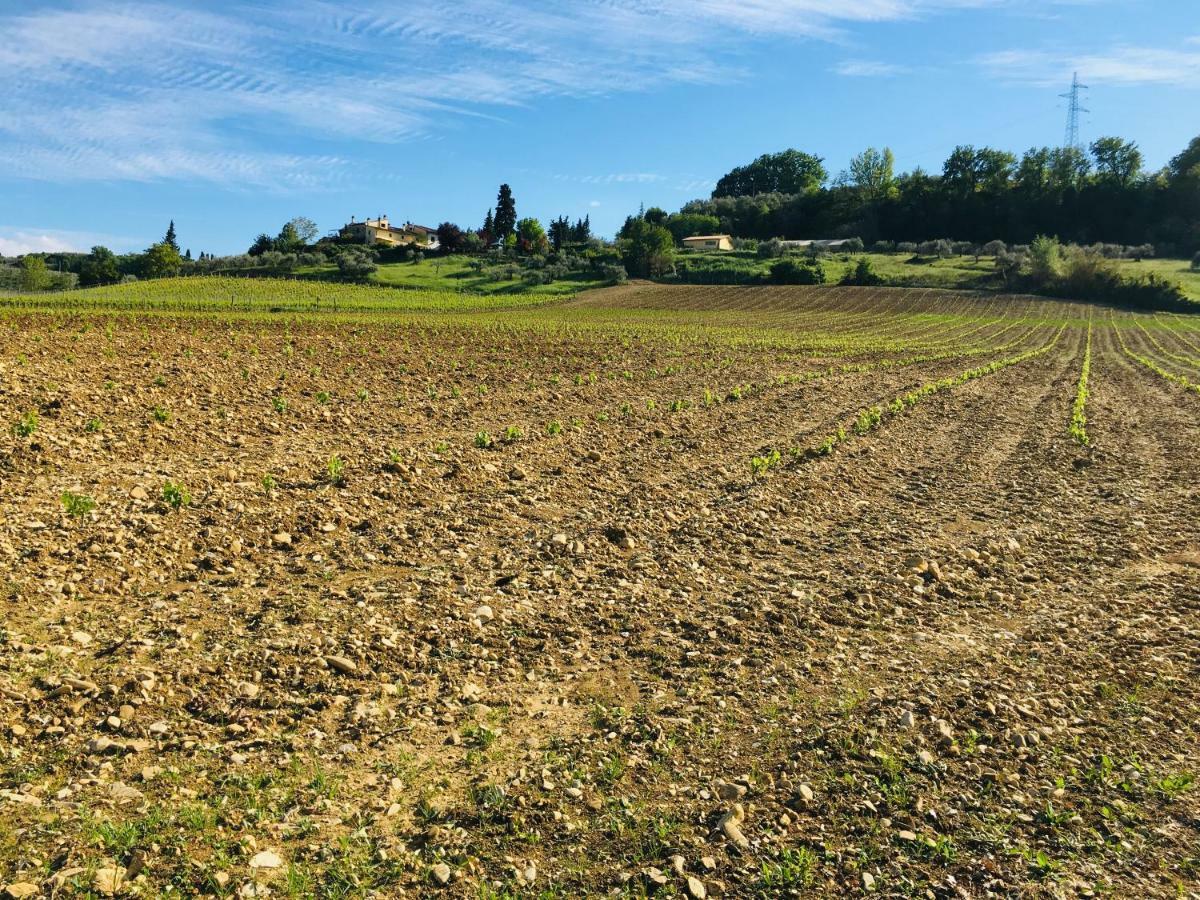 Agriturismo La Valle A Polvereto Villa Tavarnelle Val di Pesa Kültér fotó