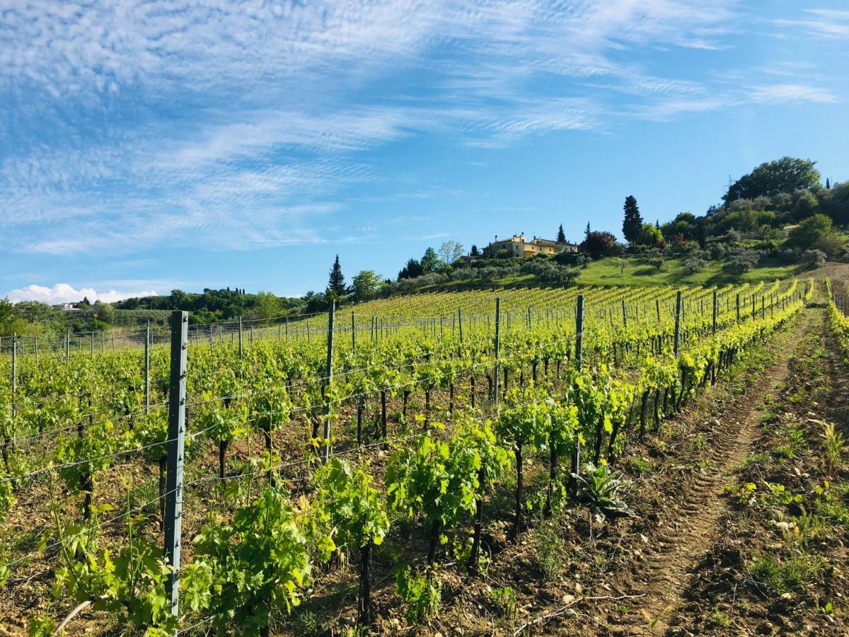Agriturismo La Valle A Polvereto Tavarnelle Val di Pesa Kültér fotó