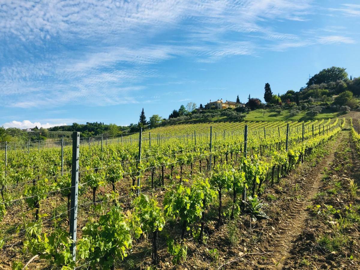 Agriturismo La Valle A Polvereto Villa Tavarnelle Val di Pesa Kültér fotó