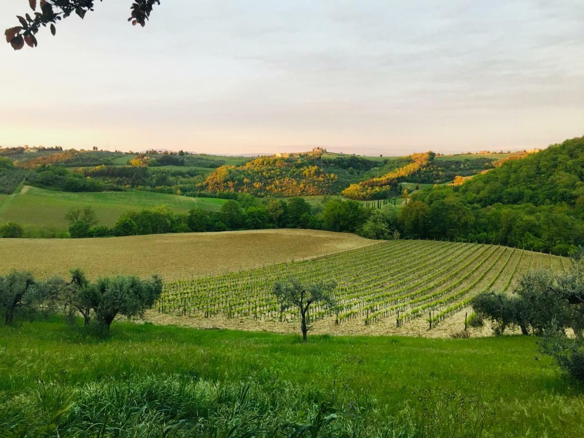 Agriturismo La Valle A Polvereto Tavarnelle Val di Pesa Kültér fotó